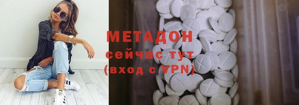 прущие грибы Балабаново