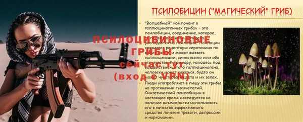 МДПВ Балахна