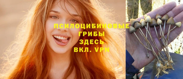 мескалин Баксан